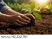 Young people in work uniform with shovel plant tree sapling in ground. Background for gentrification of territory. Concept of landscaping, nature, environment and ecology. Copy space. Стоковое AI-изображение, AI-художник Aleksandr Golubev / Фотобанк Лори