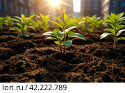Planted young sapling of trees in an urban environment on territory of house. Background for gentrification of city. Concept of landscaping, nature, environment and ecology. Copy space. Стоковое AI-изображение, AI-художник Aleksandr Golubev / Фотобанк Лори