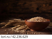 Grains plate table. Generate Ai. Стоковое AI-изображение, AI-художник Иван Рябоконь / Фотобанк Лори