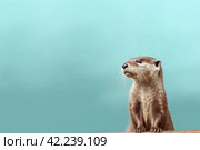 Otter animal background. Generate Ai. Стоковое AI-изображение, AI-художник Иван Рябоконь / Фотобанк Лори