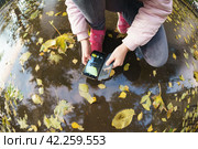 Teenage girl on the city street after the rain. She photographs the reflection of the autumn city in a puddle. She making pjoto via smartphone. Close up. Стоковое фото, фотограф YuryKara / Фотобанк Лори