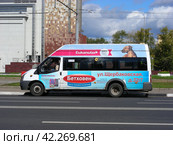 Маршрутное такси на рейсе. Улица Бориса Галушкина. Останкинский район. Город Москва (2012 год). Редакционное фото, фотограф lana1501 / Фотобанк Лори