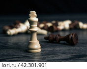 Chess kings on wooden background against the background of scattered chess pieces. Стоковое фото, фотограф Александр Калугин / Фотобанк Лори