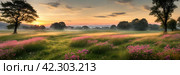 Peacefulness of a countryside meadow bathed in the soft light of dawn. Стоковое AI-изображение, AI-художник Ольга Хорошунова / Фотобанк Лори