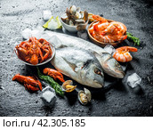 Seafood. Fresh fish with shrimp, crayfish and oysters on a stone Board. Стоковое фото, фотограф Артем Шадрин / Фотобанк Лори