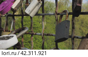 Locks of love on the bridge, padlocks of lovers on the fence of the bridge. Rusty locks and fence. Стоковое видео, видеограф Воловодов Владимир / Фотобанк Лори