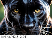 Up close and personal with black panther puma, natural habitat. Showcasing fierce and serious gaze as wild predator in exotic natural world. Animal themes wildlife concept. Copy ad text space. Gen Ai. Стоковое AI-изображение, AI-художник Aleksandr Golubev / Фотобанк Лори
