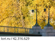 Осенний Санкт-Петербург. Фонари Краснофлотского моста (2014 год). Стоковое фото, фотограф Александр Алексеев / Фотобанк Лори