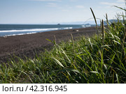 Камчатка, тихий океан, халактырский пляж. Kamchatka, pacific ocean, halaktyrsky beach (2021 год). Стоковое фото, фотограф Мария Одинцова / Фотобанк Лори