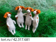Knitted dogs jack russell terier toy with yarn and knitting accessories. Стоковое фото, фотограф Анатолий Типляшин / Фотобанк Лори