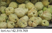Pile of freshly harvested ripe ecologically grown quinces on market counter. Organic vitamin fruits. Стоковое видео, видеограф Яков Филимонов / Фотобанк Лори