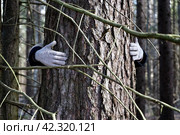 Дерево в объятьях человека в белых рукавицах. Стоковое фото, фотограф Валерий Леонидович / Фотобанк Лори