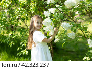Cute little girl in white dress laughing in spring park near lilac. child smells lilac. Стоковое фото, фотограф Ирина Михайличенко / Фотобанк Лори