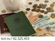 Копилка, паспорт РФ, трудовая книжка, деньги российские бумажные, монеты. Стоковое фото, фотограф Оксана Шведкова / Фотобанк Лори