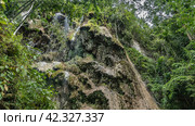 Waterfall in the rainforest. Thin streams of water fall in cascades from limestone ledges. Green lush vegetation on the rocks. Philippines. Tumalog Falls. Cebu Island. Oslob (2024 год). Стоковое фото, фотограф Вера Ивановна Кубарева / Фотобанк Лори