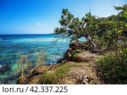 Blue lagoon in Boca de Yuma. Стоковое фото, фотограф Oriole Gin / Фотобанк Лори