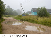Вид на деревенскую улицу и деревянные дома. Сельский пейзаж. Лужи на грунтовой дороге. Электрические опоры на обочине. Утренний туман. Повседневная жизнь в деревне. Вологодская область, Россия. Стоковое фото, фотограф Андрей Степанов / Фотобанк Лори