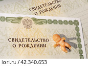 Пупсик и два свидетельства о рождении (2024 год). Редакционное фото, фотограф Евгения Золкина / Фотобанк Лори