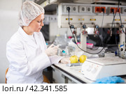 Female geneticist working in laboratory, injecting additives into apple during experiments with genetically modified apple. Стоковое фото, фотограф Яков Филимонов / Фотобанк Лори