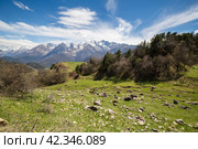 Panoramic view of the Caucasus mountains. Стоковое фото, фотограф Юлия Белоусова / Фотобанк Лори