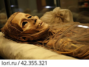 Cryptic Ancient mummy. Generate Ai. Стоковое AI-изображение, AI-художник Иван Рябоконь / Фотобанк Лори