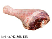 Turkey drumstick. Стоковое фото, фотограф Винокуров Александр / Фотобанк Лори