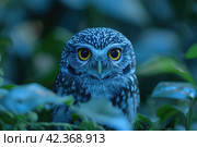 Little owl at dusk in nature. Стоковое AI-изображение, AI-художник Евгений Харитонов / Фотобанк Лори