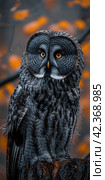 Vertical portrait of great gray owl, strix nebulosa. Стоковое AI-изображение, AI-художник Евгений Харитонов / Фотобанк Лори