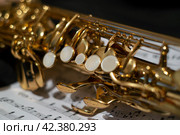 Saxophone. Стоковое фото, фотограф Евгения Кравцова / Фотобанк Лори