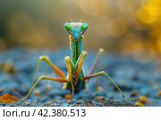 Mantis on a green background,Generative AI. Стоковое AI-изображение, AI-художник Анна Кривицкая / Фотобанк Лори