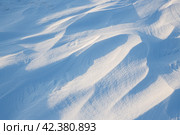 Snow texture. Wind sculpted patterns on snow surface. Wind in the tundra and in the mountains on the surface of the snow sculpts patterns and ridges (sastrugi). Arctic, Polar region. Winter background. Стоковое фото, фотограф Андрей Степанов / Фотобанк Лори