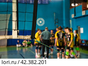 Selective focus of coach analyze play game of volleyball team, timeout active match in sports school gym. Team volleyball game with net. Concept of team sport games, team success. Copy ad text space. Стоковое фото, фотограф Aleksandr Golubev / Фотобанк Лори