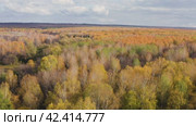 Южный Урал, Башкирия, осенний лес. Вид с воздуха. Southern Urals, Bashkiria, autumn forest. Aerial view. Стоковое видео, видеограф Евгений Романов / Фотобанк Лори