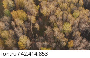 Южный Урал, Башкирия, осенний лес. Вид с воздуха. Southern Urals, Bashkiria, autumn forest. Aerial view. Стоковое видео, видеограф Евгений Романов / Фотобанк Лори