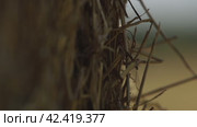 Лето стог сена  summer haystack. Стоковое видео, видеограф Опока Алексей / Фотобанк Лори