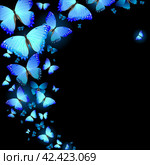 Flock of Blue Butterflies. Стоковая иллюстрация, иллюстратор Vicgmyr / Фотобанк Лори