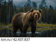 Brown bear against the background of a lake,    Generative AI. Стоковое AI-изображение, AI-художник Анна Кривицкая / Фотобанк Лори