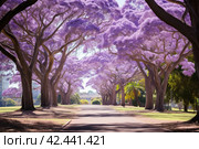 Jacaranda trees park. Generate Ai. Стоковое AI-изображение, AI-художник Иван Рябоконь / Фотобанк Лори