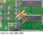 Электронный компонент удерживается в пинцете на фоне печатной платы. Electronic component held with tweezers. Стоковое фото, фотограф Татьяна Д / Фотобанк Лори