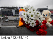 Люди приносят цветы и детские мягкие игрушки к стихийному мемориалу в память о погибших при теракте у здания концертного зала "Крокус сити холл", Московская область, Россия (2024 год). Редакционное фото, фотограф Николай Винокуров / Фотобанк Лори