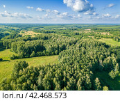 Monitoring animals and their migrations using drones. Стоковое фото, фотограф Дмитрий Коростылев / Фотобанк Лори