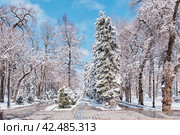 Spring city park and suddenly fallen snow. Almaty, Kazakhstan. Cityscape. Стоковое фото, фотограф Ирина Кононова / Фотобанк Лори