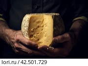 Cheesemaker holding cheese. Generate Ai. Стоковое AI-изображение, AI-художник Иван Рябоконь / Фотобанк Лори