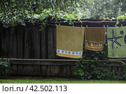 Bed linen and towels are hung on a clothesline outdoors. Laundry gets wet outside in the rain. Стоковое фото, фотограф Photojuli / Фотобанк Лори