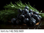 Juniper berries table wood table. Generate Ai. Стоковое AI-изображение, AI-художник Иван Рябоконь / Фотобанк Лори