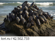 Pile of mussels on sea sand. Generate ai. Стоковое AI-изображение, AI-художник Иван Рябоконь / Фотобанк Лори