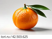 Picture of fresh ripe mandarin at isolated white background. Illustration of mandarine for design project, poster, banner, logotype. Fresh fruits concept. Copy ad text space. Generative Ai image. Стоковое AI-изображение, AI-художник Aleksandr Golubev / Фотобанк Лори