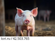 Pink baby swine. Generate AI. Стоковое AI-изображение, AI-художник Иван Рябоконь / Фотобанк Лори
