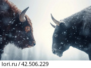 Two bulls in wintertime. Generate ai. Стоковое AI-изображение, AI-художник Иван Рябоконь / Фотобанк Лори