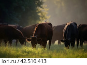 Group cows field. Generate AI. Стоковое AI-изображение, AI-художник Иван Рябоконь / Фотобанк Лори